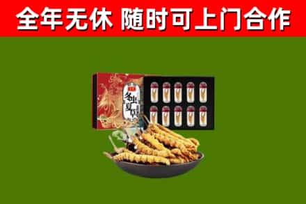 涿鹿县回收冬虫夏草价格